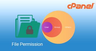 change file permission at cpanel leotheme blog