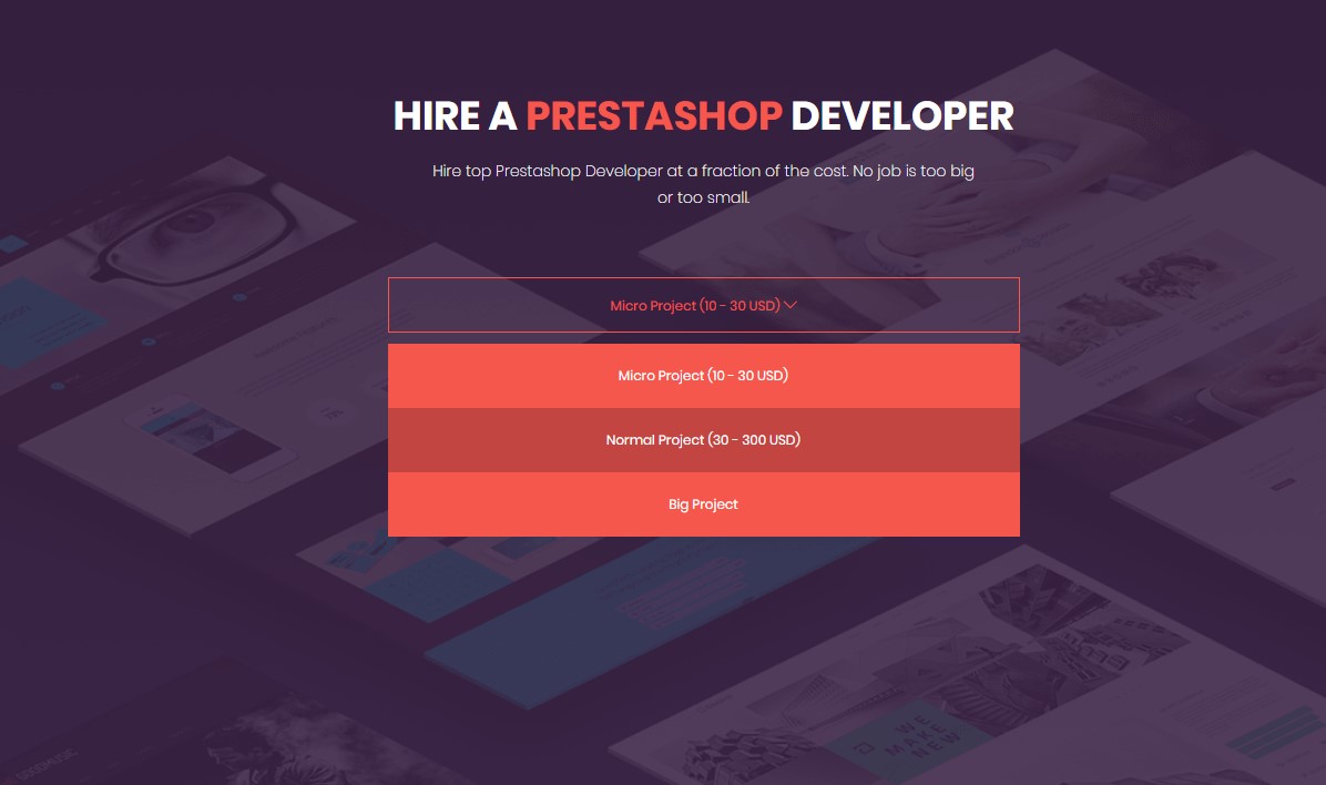 leotheme hire a prestashop developer