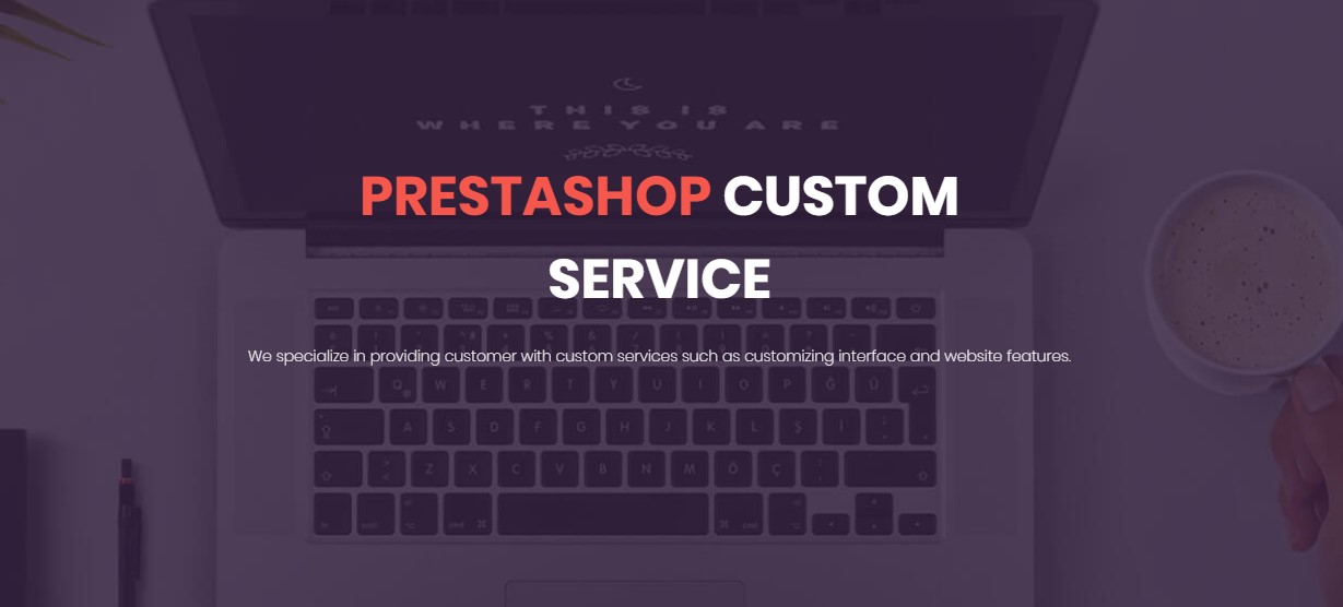 leotheme prestashop custom service