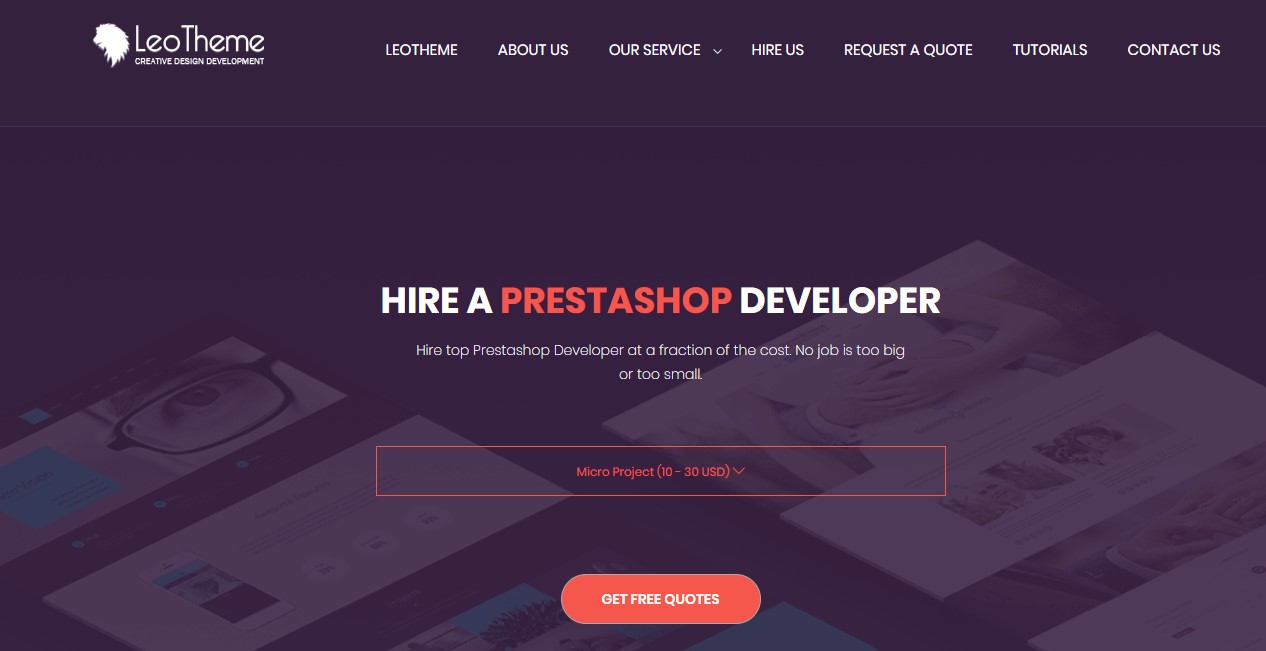 leotheme prestashop custom work service