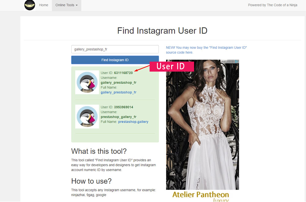 8.find-instagram-user-id