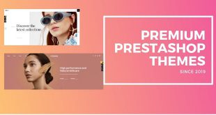 best prestashop premium themes
