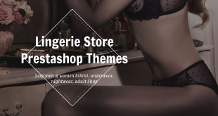 Top Lingerie Store Prestashop themes