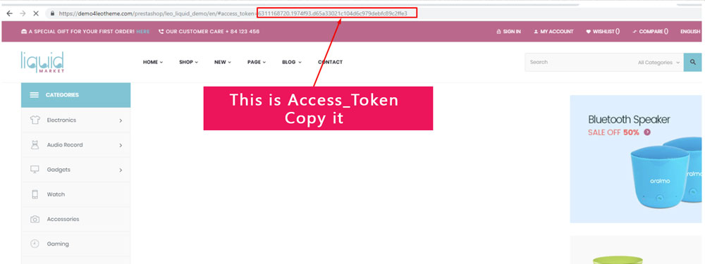 12.Access-token-how-to-add-widget-instagram